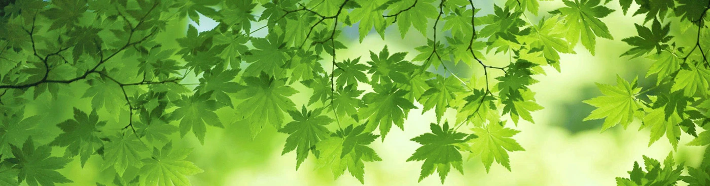 Wim van Doorne Muziekkiosk